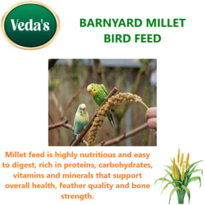Barnyard Millet Bird Feed