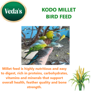 Kodo Millet Bird Feed