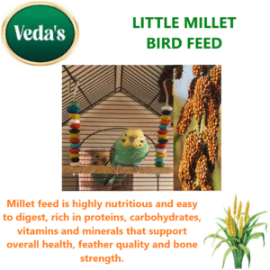Little Millet Bird Feed