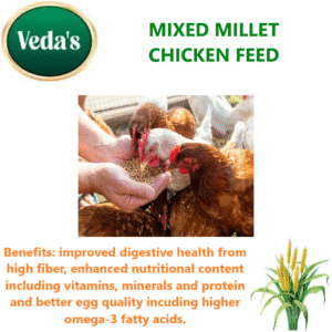 Millet Chicken Feed