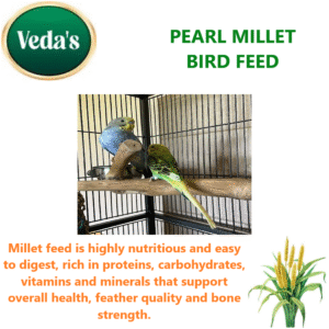 Pearl Millet Bird Feed