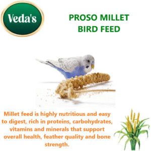 Proso Millet Bird Feed