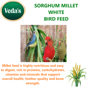 Sorghum Millet Bird Feed